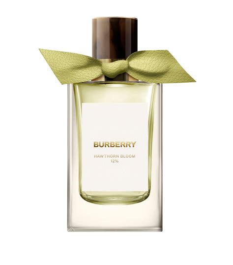 burberry hawthorn bloom